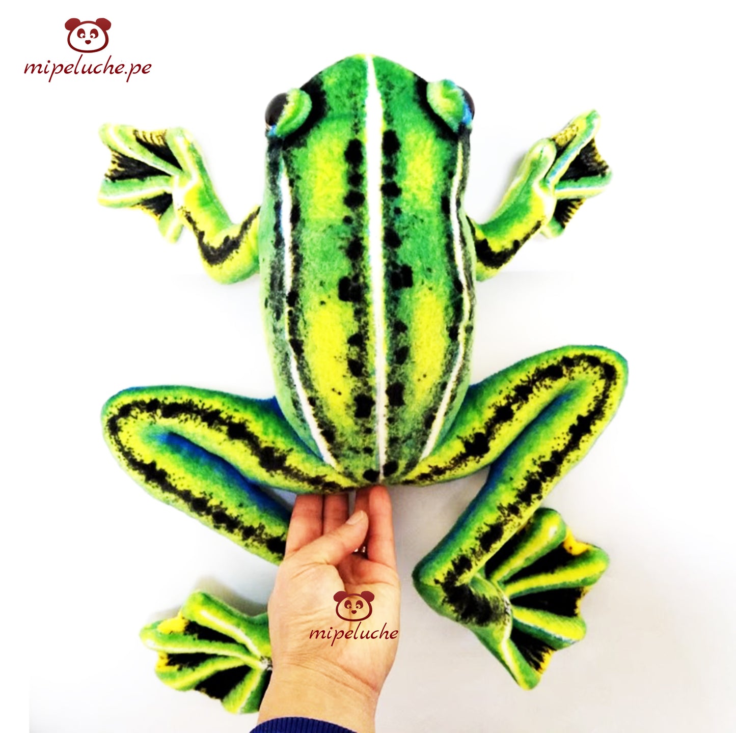 Peluche Rana Realista de 50 Cm Felpa Original