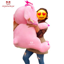 Cargar imagen en el visor de la galería, oso stich stitch lilo angela chancho chanchito disfrazado peluche lima peru perú delivery tienda de regalos niño envios felpa san valentin enamorados navidad cumpleaños