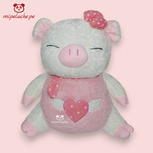 Cargar imagen en el visor de la galería, cerdito chanchito chancho cerdo peluche felpa lima peru perú barato envio tienda de regalo delivery san valentin dia de la madre regalo aniversario cumpleaños kim sam soon