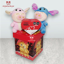 Cargar imagen en el visor de la galería, oso felpa stich stitch lilo angela chancho chanchito disfrazado peluche lima peru perú delivery tienda de regalos niño envios enamorados san valentin navidad cumpleaños