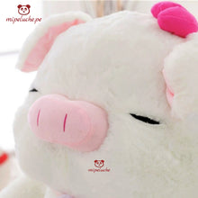 Cargar imagen en el visor de la galería, cerdito chanchito chancho cerdo peluche felpa lima peru perú barato envio tienda de regalo delivery san valentin dia de la madre regalo aniversario cumpleaños kim sam soon