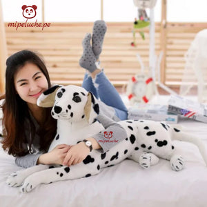 dalmata perro perrito cachorro dog cachorrito peluche gigante felpa regalo lima peru perú tienda de regalo envios delivery cumpleaños aniversario navidad san valentin dia de la madre