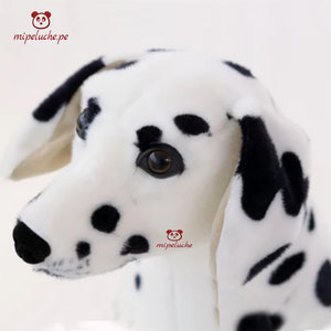 dalmata perro perrito cachorro dog cachorrito peluche gigante felpa regalo lima peru perú tienda de regalo envios delivery cumpleaños aniversario navidad san valentin dia de la madre