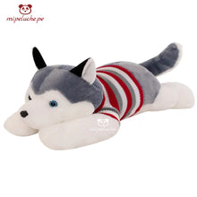 Cargar imagen en el visor de la galería, perrito perro peluche gigante grande almohada cojin cachorro cachorrito husky siberiano felpa tienda de regalo original lima peru perú envios delivery enamorados san valentin cumpleaños dia de la madre