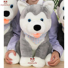 Cargar imagen en el visor de la galería, perrito perro peluche gigante grande almohada cojin cachorro cachorrito husky siberiano felpa tienda de regalo original lima peru perú envios delivery dia del niño cumpleaños