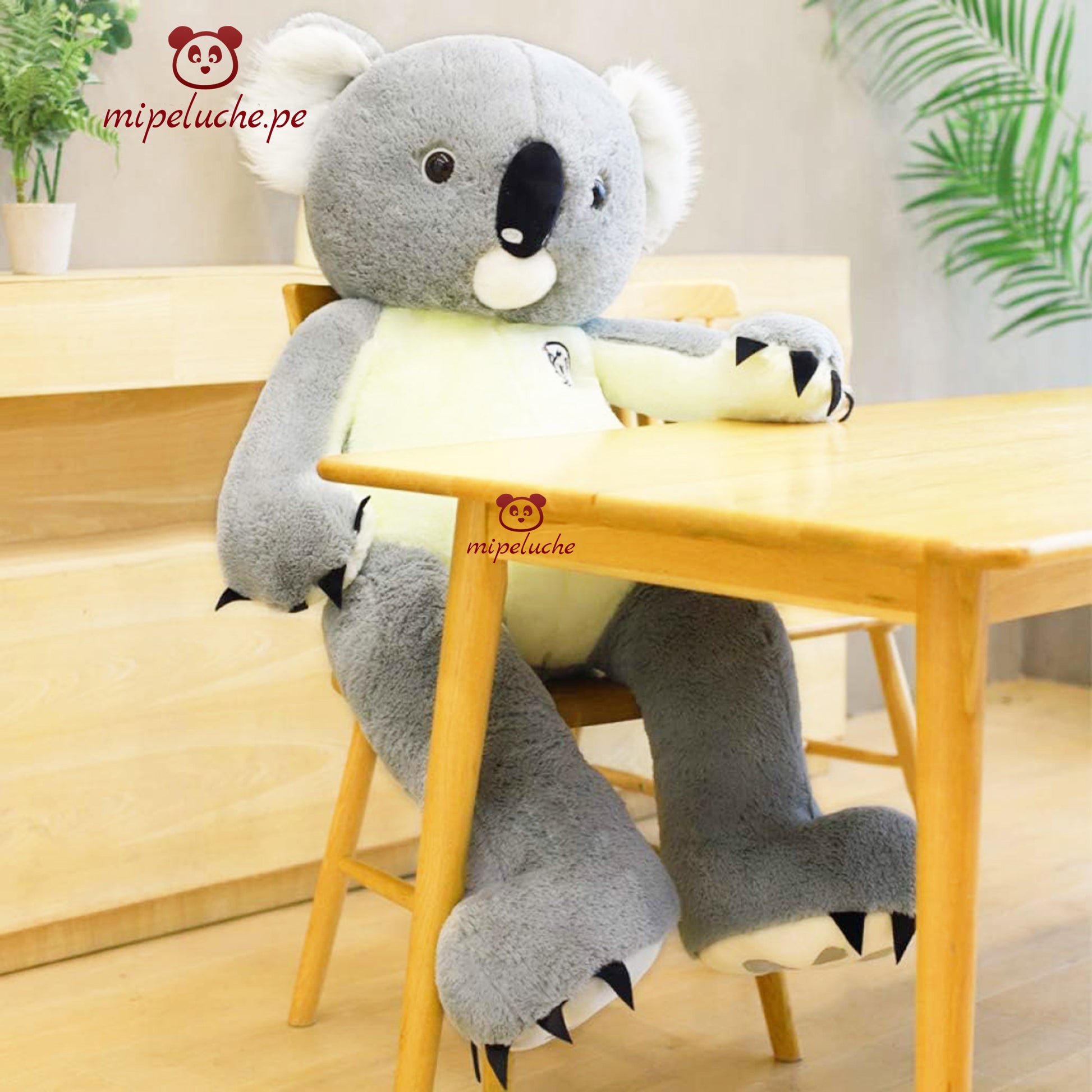 oso koala grande gigante peluche lima perú tienda de regalo peru barato delivery envios grande oso san valentin enamorados dia de la madre cumpleaños baby shower